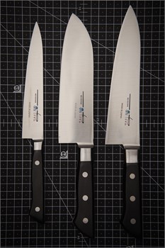 INOGUCHI Подарочный набор из 3-х кухонных ножей: Петти+Сантоку+Гюйто set-1 - фото 30036