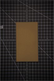 DR-0160 DR-0160