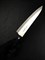 INOGUCHI Нож кухонный Гюйто 200/320 мм Molybdenum vanadium steel(Secret steel by Inoguchi) NO-440 - фото 23368