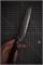 Sakai Takayuki Нож кухонный Петти/Бунка 150/270 мм Bohler N685 Stainless Steel Core 45 Layerd Damascus 10258