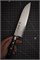 Sakai Takayuki Нож кухонный Сантоку 180/310 мм VG-10/17 Layers Damascus 14178