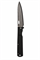 Нож складной Takeshi Saji Петти 100/235 мм SG2/Super Gold 2 or R2(Порошковая сталь) SA-Folding-3